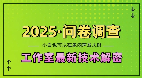 2025问卷调查最新工作室技术解密:一个人在家也可以闷声发大财,小白一天2张,可矩阵放大【揭秘】-最全资源库