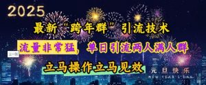 最新“跨年群”引流,流量非常猛,单日引流两人满人群,立马操作立马见效【揭秘】-最全资源库