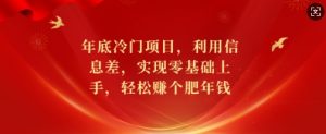 年底冷门项目,利用信息差,实现零基础上手,轻松赚个肥年钱【揭秘】-最全资源库