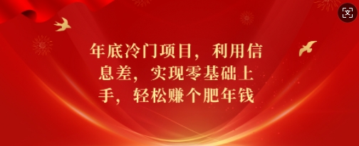 年底冷门项目,利用信息差,实现零基础上手,轻松赚个肥年钱【揭秘】-最全资源库