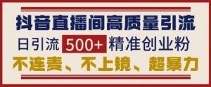 抖音直播间引流创业粉，无需连麦、不用上镜、超暴力，日引流500+高质量精准创业粉-最全资源库