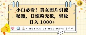 小白必看，美女图片引流秘籍，日涨粉无数，轻松日入几张【揭秘】-最全资源库