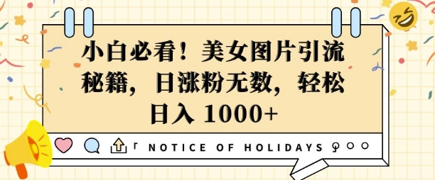 小白必看,美女图片引流秘籍,日涨粉无数,轻松日入几张【揭秘】-最全资源库