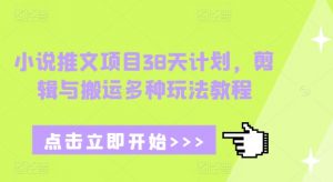 小说推文项目38天计划，剪辑与搬运多种玩法教程-最全资源库