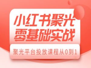 小红书聚光零基础实战,聚光平台投放课程从0到1-最全资源库