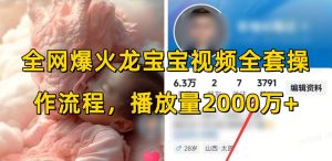 全网爆火龙宝宝视频全套操作流程，播放量2000万+-最全资源库