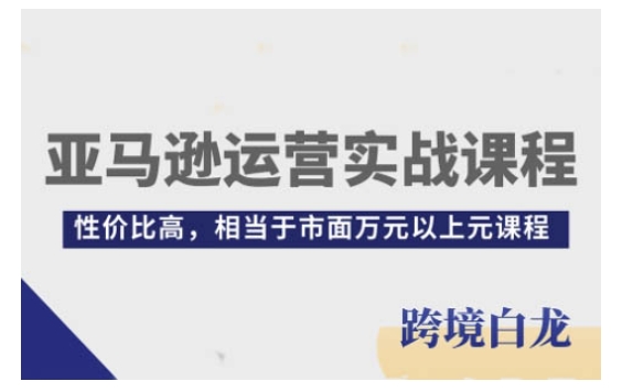 亚马逊运营实战课程，亚马逊从入门到精通，性价比高，相当于市面万元以上元课程-最全资源库