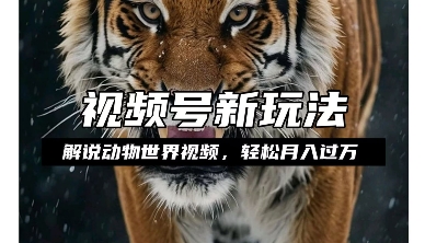 利用动物世界解说视频，赚分成计划收益，轻松月入过W，操作简单【揭秘】-最全资源库