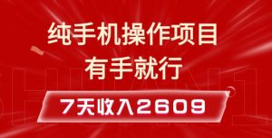 纯手机操作的小项目,有手就能做,7天收入2609+实操教程【揭秘】-最全资源库
