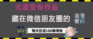 藏在微信朋友圈的流量密码,无需发布作品,单日引流100+精准创业粉【揭秘】-最全资源库