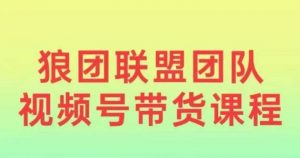 狼团联盟2024视频号带货，0基础小白快速入局视频号-最全资源库