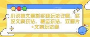 小说推文最新多种玩法详解，实况文案玩法，搬运玩法，双图片+文案玩法等-最全资源库