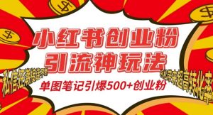 小红书创业粉引流神玩法,单图笔记引爆500+精准创业粉丝,私信狂潮接连不断-最全资源库