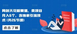 网创天花板赛道,卖项目月入6个,含独家引流技术(共26节课)-最全资源库