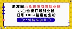 朋友圈小众玩法引流创业粉,小白也能打爆创业粉,日引300+精准创业粉【揭秘】-最全资源库