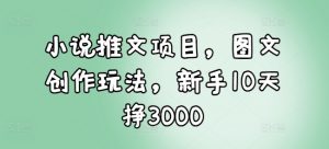 小说推文项目，图文创作玩法，新手10天挣3000-最全资源库
