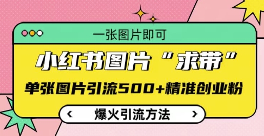 小红书图片‘求带’爆火引流法,单张图片引流500+精准创业粉【揭秘】-最全资源库