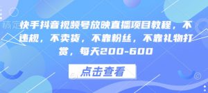 快手抖音视频号放映直播项目教程，不违规，不卖货，不靠粉丝，不靠礼物打赏，每天200-600-最全资源库