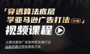 穿透算法底层,学亚马逊广告打法SP篇,从算法侧讲广告架构和实操打法,让你不再只学会表层方法-最全资源库