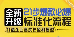 21步爆款必爆标准化流程，全新升级，打造企业高成长盈利模型-最全资源库
