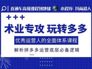 术业专攻玩转多多,优秀运营人的全面体系课程,解析拼多多运营底层必备逻辑-最全资源库