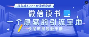 微信读书,一个隐藏的引流宝地,不为人知的小众打法,日引流300+精准创业粉,长尾流量源源不断-最全资源库
