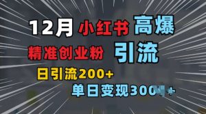 小红书一张图片“引爆”创业粉，单日+200+精准创业粉 可筛选付费意识创业粉【揭秘】-最全资源库