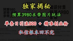 预算3980求带 图片玩法,单条日引流500+精准创业粉,私信根本回不完-最全资源库