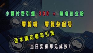 小额付费引爆 300 + 精准创业粉,零剪辑、零复杂起号,话术撬动被动引流,当日实操即见成效-最全资源库