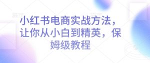 小红书电商实战方法，让你从小白到精英，保姆级教程-最全资源库