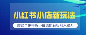 小红书小店新玩法，蹭这个IP带货，小白也能轻松月入过W【揭秘】-最全资源库