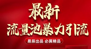 最新“流量池”无门槛暴力引流(全网首发)日引500+-最全资源库