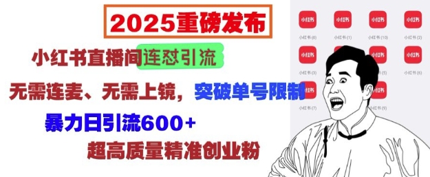 2025重磅发布：小红书直播间连怼引流，无需连麦、无需上镜，突破单号限制，暴力日引流600+-最全资源库