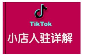 TikTok跨境小店运营全攻略，帮助你独立运营TK跨境小店的能力，实现销量增长-最全资源库