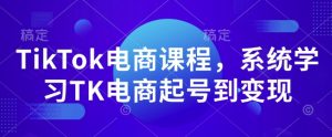 TikTok电商课程，​系统学习TK电商起号到变现-最全资源库