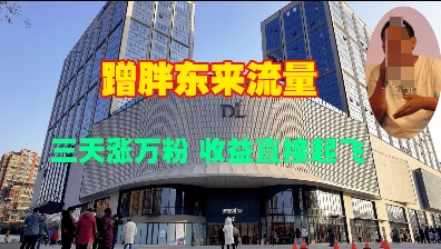 蹭胖东来流量,三天涨万粉,收益直接起飞-最全资源库