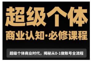 超级个体商业认知觉醒视频课，商业认知·必修课程揭秘从0-1账号全流程-最全资源库