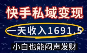 一天收入1691.5，快手私域变现，小白也能闷声发财-最全资源库