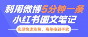 小红书利用微博5分钟一条图文笔记,实现快速涨粉,商单接到手软-最全资源库