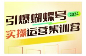 引爆蝴蝶号实操运营，助力你深度掌握蝴蝶号运营，实现高效实操，开启流量变现之路-最全资源库