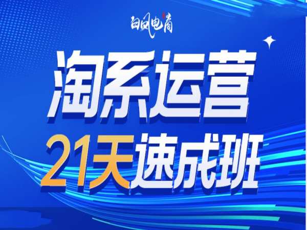 淘系运营21天速成班35期，年前最后一波和2025方向-最全资源库