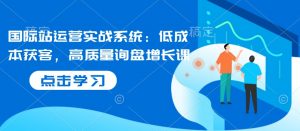 国际站运营实战系统：低成本获客，高质量询盘增长课-最全资源库