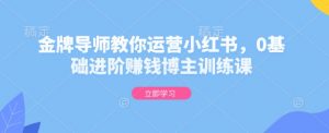 金牌导师教你运营小红书，0基础进阶赚钱博主训练课-最全资源库