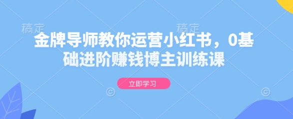 金牌导师教你运营小红书,0基础进阶赚钱博主训练课-最全资源库