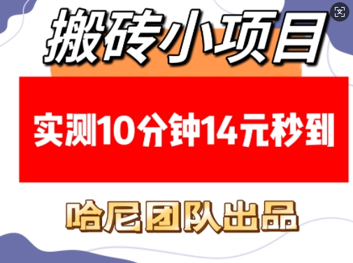搬砖小项目，实测10分钟14元秒到，每天稳定几张(赠送必看稳定)-最全资源库