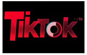 TikTok ads投流秘籍,涵盖tiktok整体投放思路,教你搭建测试计划-最全资源库