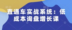 直通车实战系统:低成本询盘增长课,让个人通过技能实现升职加薪,让企业低成本获客,订单源源不断-最全资源库