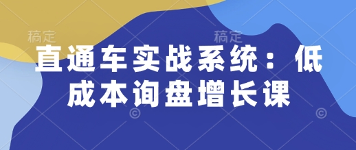 直通车实战系统:低成本询盘增长课,让个人通过技能实现升职加薪,让企业低成本获客,订单源源不断-最全资源库