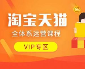 淘宝天猫全体系运营课程：店铺全系运营、动销玩法、付费推广、流量提升、擦边球玩法等等-最全资源库