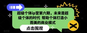 超级个体ip营第六期,未来是超级个体的时代 帮助个体打造小而美的商业模式-最全资源库